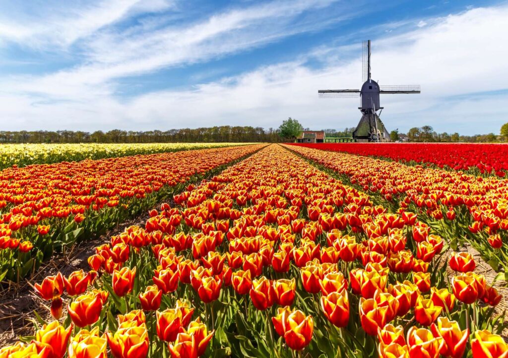 laadpaal aanvragen gemeente lisse